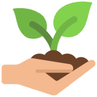 plant (1)